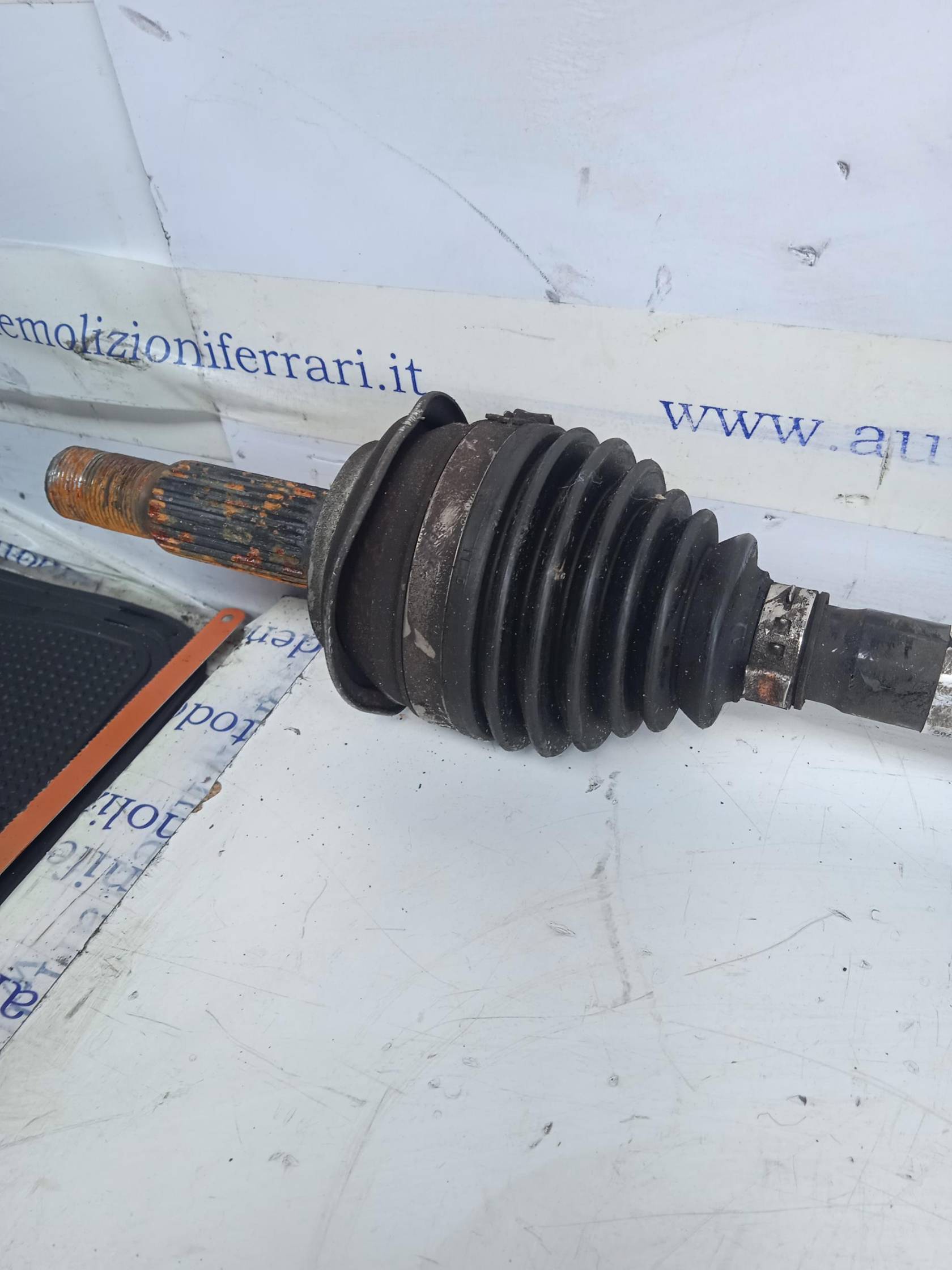 Semialbero ant. compl. dx.